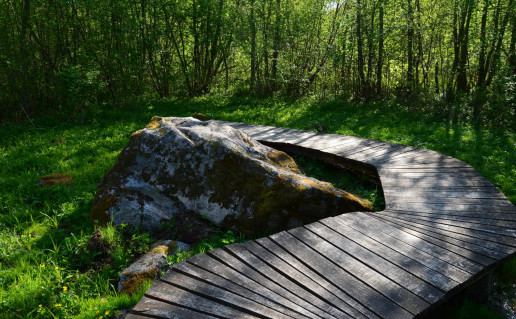 4_Dubenuotasis akmuo.jpg